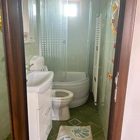 Mica Casuta 度假居 茹里洛夫卡